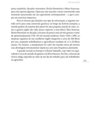 Uma Breve História da Riqueza